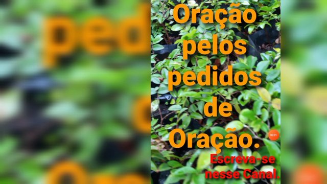 Oração pelos pedidos de Oração. O Senhor Jesus Cristo garante a Vitória.