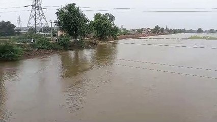 घग्घर नदी में बढ़ रही है पानी की मात्रा, अधिकारी हुए सतर्क