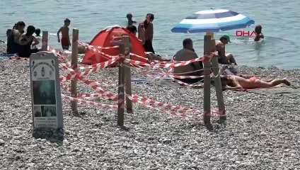 Maillot de bain et short accrochés dans le nid de tortue