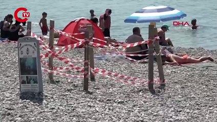 Caretta caretta yuvası, 'çamaşır askısı' oldu