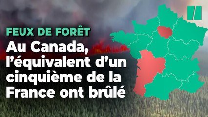 Au Canada, 10 millions d’hectares brûlés par les incendies, soit un cinquième de la France hexagonale