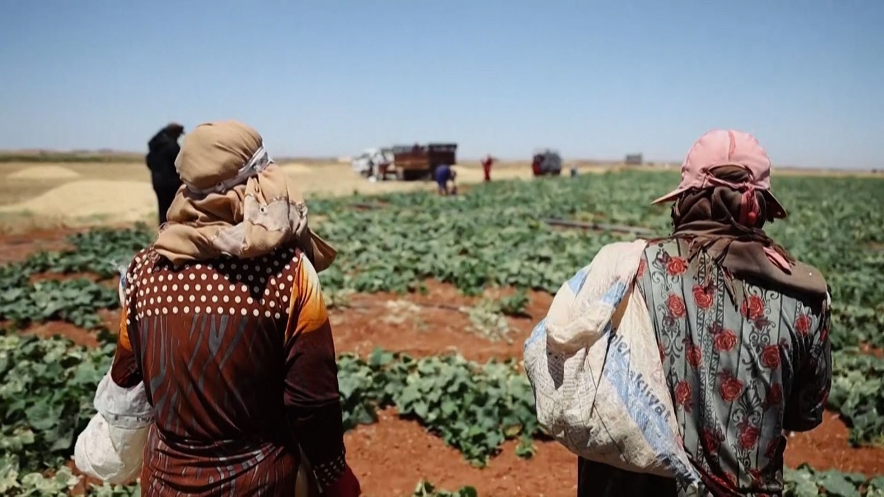 معاناة نازحي الشمال السوري مع موجة الحر