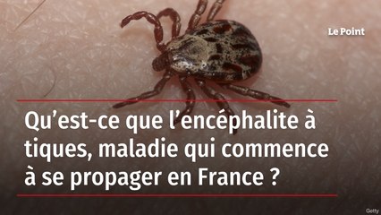 Qu’est-ce que l’encéphalite à tiques, maladie qui commence à se propager en France ?