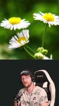 COMMENT CRÉER L'EFFET ORTON EN 1 MINUTE | Tuto Premiere Pro