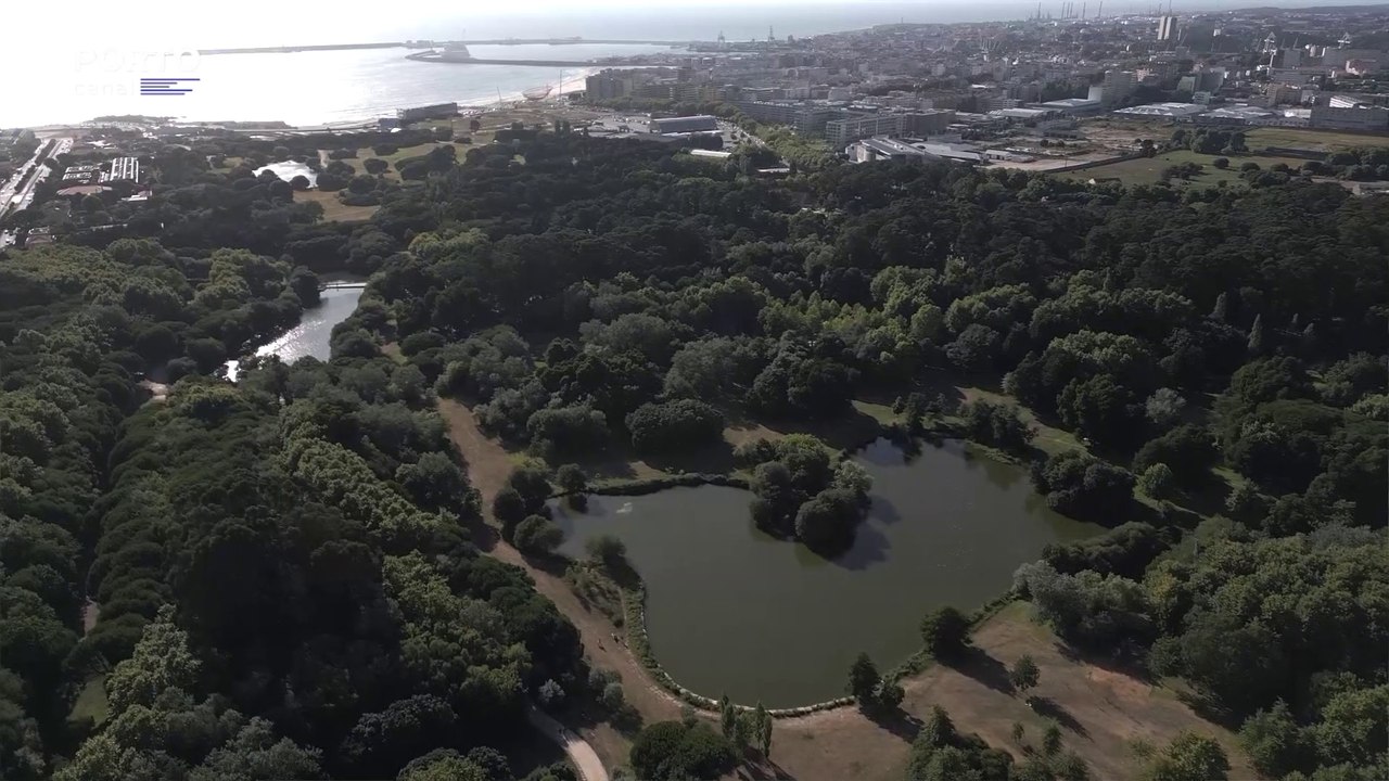 Conversas com História - Parque da Cidade do Porto