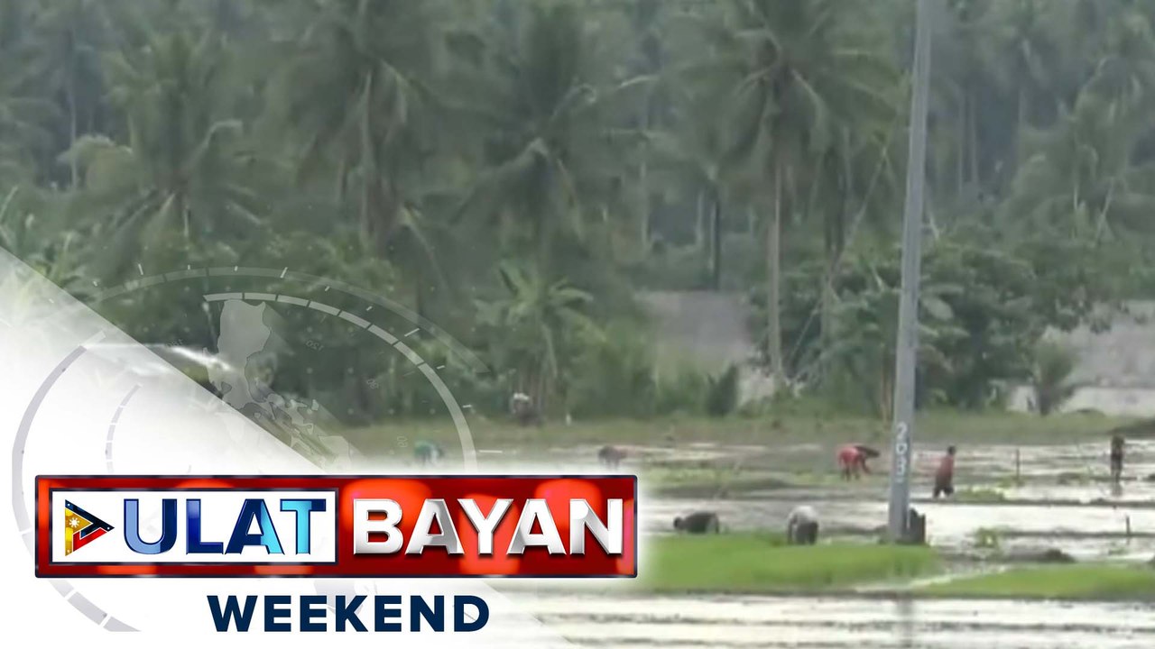 DA, naghanda ng iba't ibang tulong sa mga magsasaka na apektado ng masamang panahon