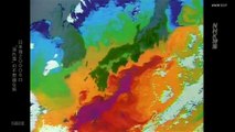 「日本海2000キロ  “流れ藻”の不思議な旅」NHK特集