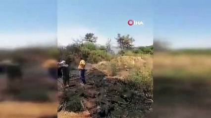 Incendie de forêt à Antalya sous contrôle