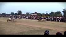 Indian Bailgada pratiyogita _ pat video _ ox race sharyat