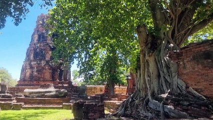 Ayutthaya