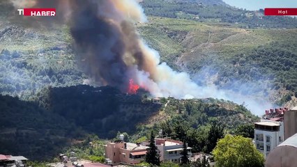 Hatay'da ormanlık alanda yangın