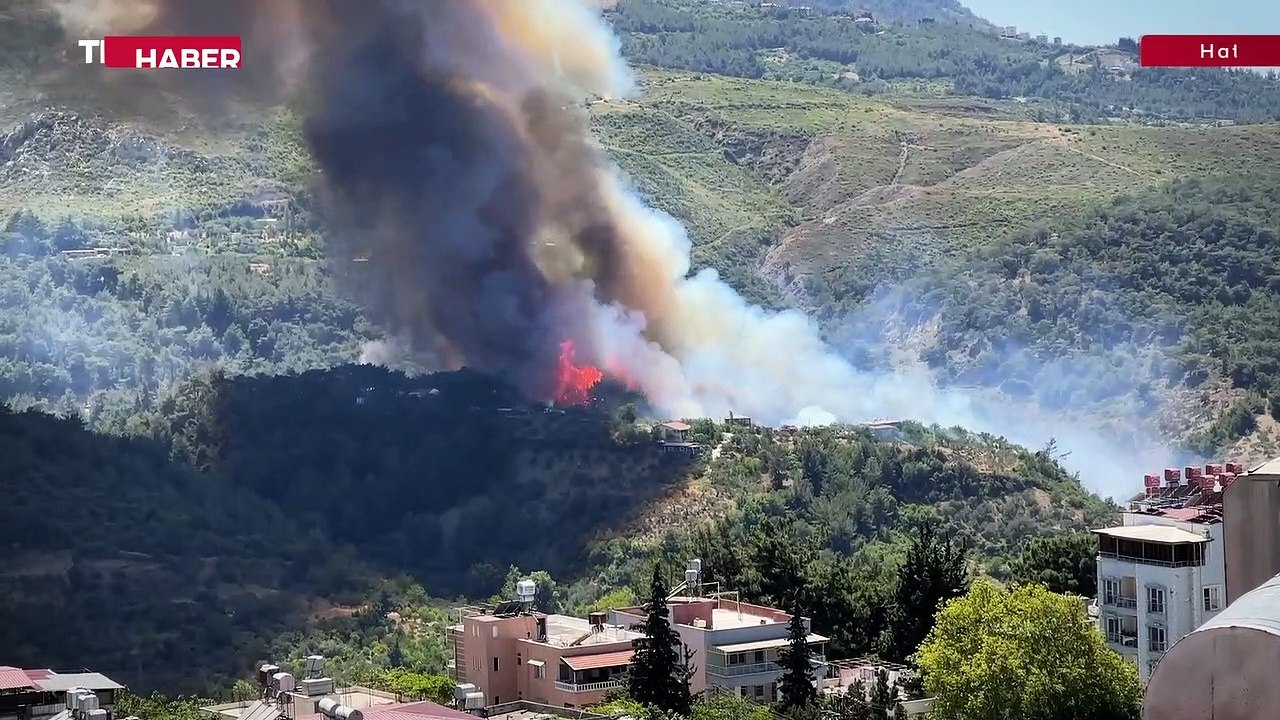 Hatay'da ormanlık alanda yangın
