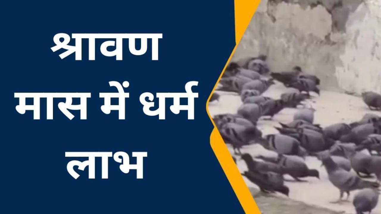 झालरापाटन : श्रावण मास में यहां के लोग यूं कमा रहे हैं पुण्य लाभ, देखिए आप भी