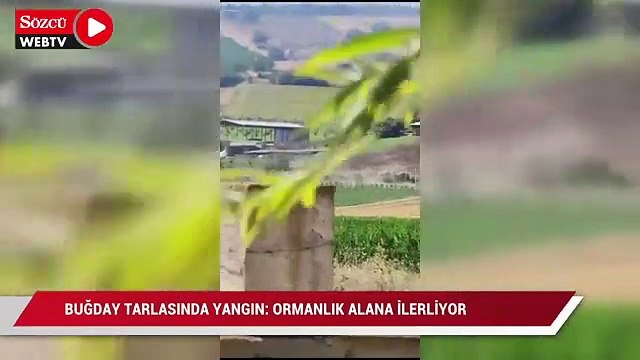 Buğday tarlasında yangın: Ormanlık alana ilerliyor