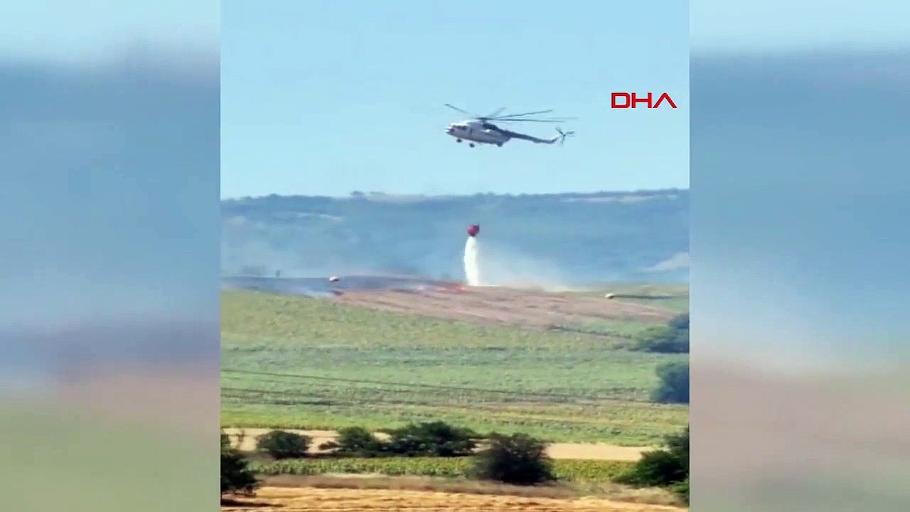 Un incendie s'est déclaré dans un champ de blé à Bursa