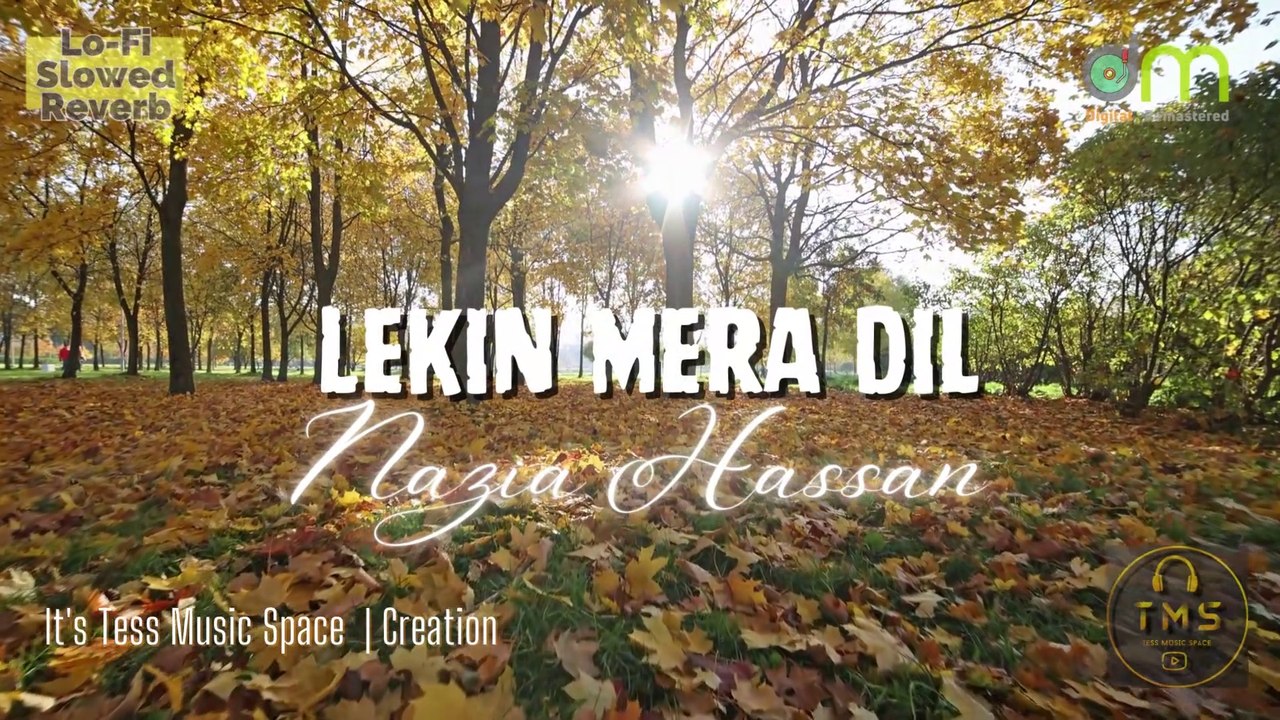 Lekin Mera Dil - Nazia Hassan (Lofi - Reverb)