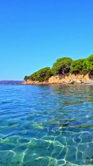 FAISONS LES PRÉSENTATIONS - Roxane, porteuse du projet "Viens, je t'emmène"