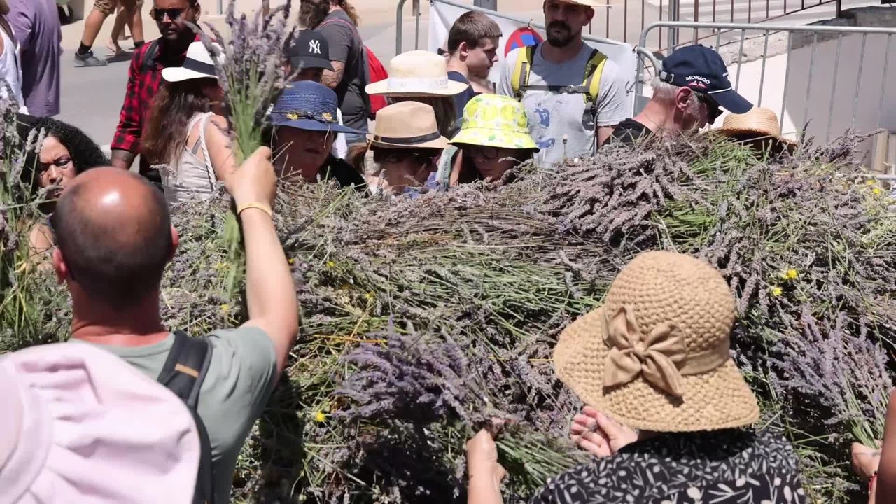 Des milliers de touristes prennent d'assaut le plateau de Valensole pour la Fête de la lavande