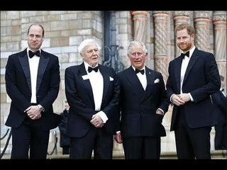 Meghan Markle est restée déconcertée par l'habitude "folle" du prince Harry qu'il a héritée de sa fa