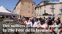 Des milliers de touristes prennent d'assaut le plateau de Valensole pour la Fête de la lavande 