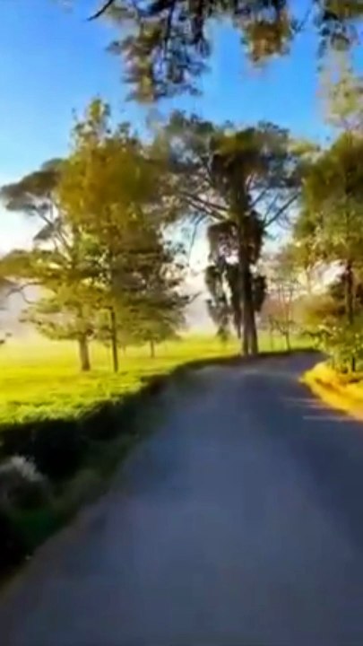 ABADI SELAMANYA [dari ufuk timur hingga ujung barat] ~ Dengan Pemandangan Alam