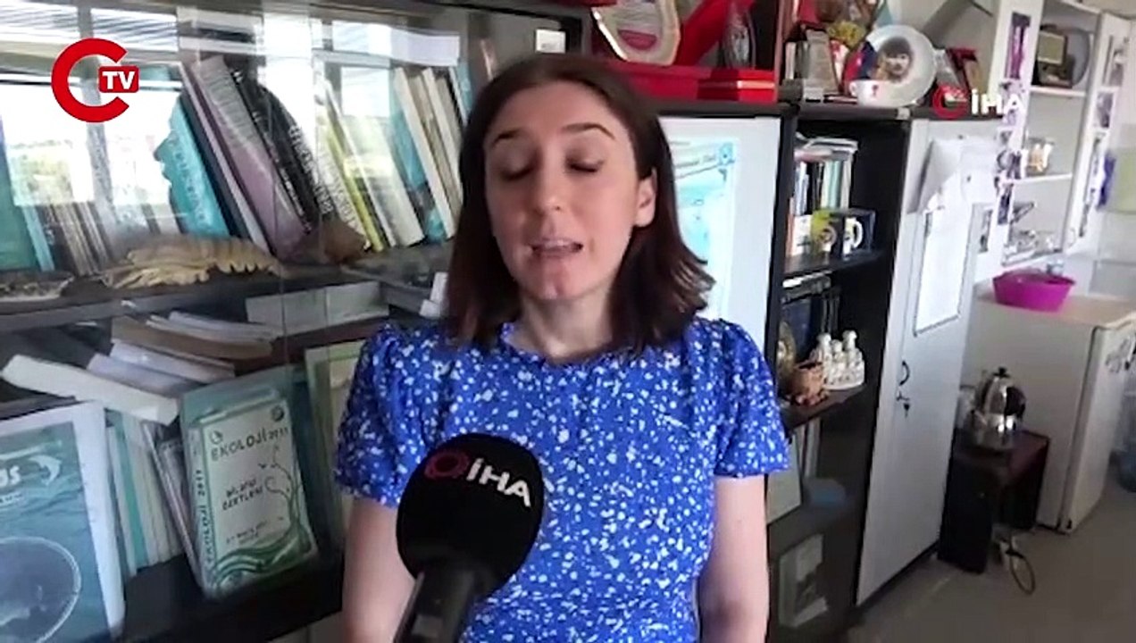 İç sularda istilacı ‘İsrail sazanı’ ve ‘sivrisinek balığı’ kabusu