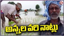 Male Farming Workers Doing Planting Rice Seedlings In Fields | V6 News