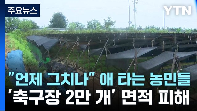 언제 그치나 애 타는 농민들...'축구장 2만 개' 면적 피해 / YTN