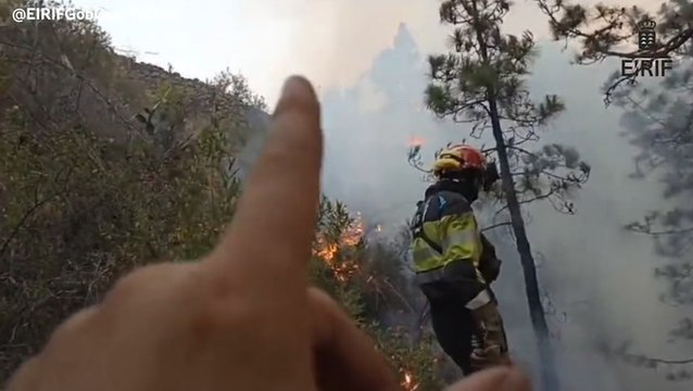 La Palma fire services describe how they plan to control wildfires as blaze rages in background