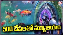 Underwater Fish Museum At Bandlaguda | Rangareddy | V6 News