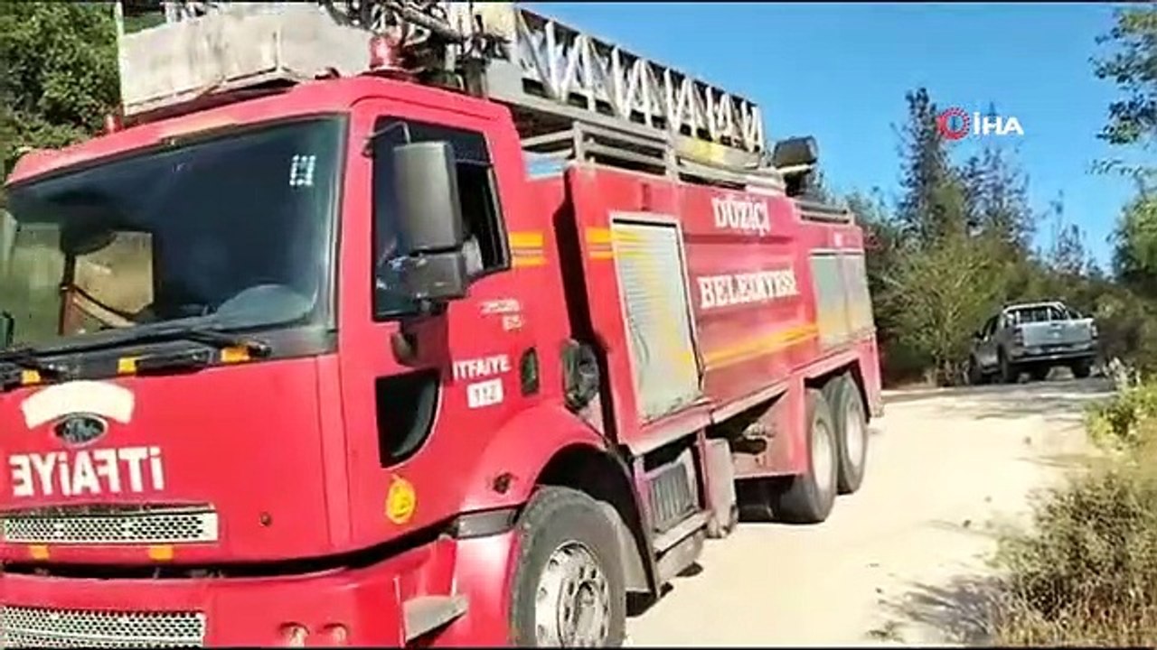 Osmaniye anız yangını ormana sıçradı