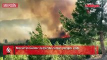 Mersin'de orman yangını! Havadan ve karadan müdahale ediliyor