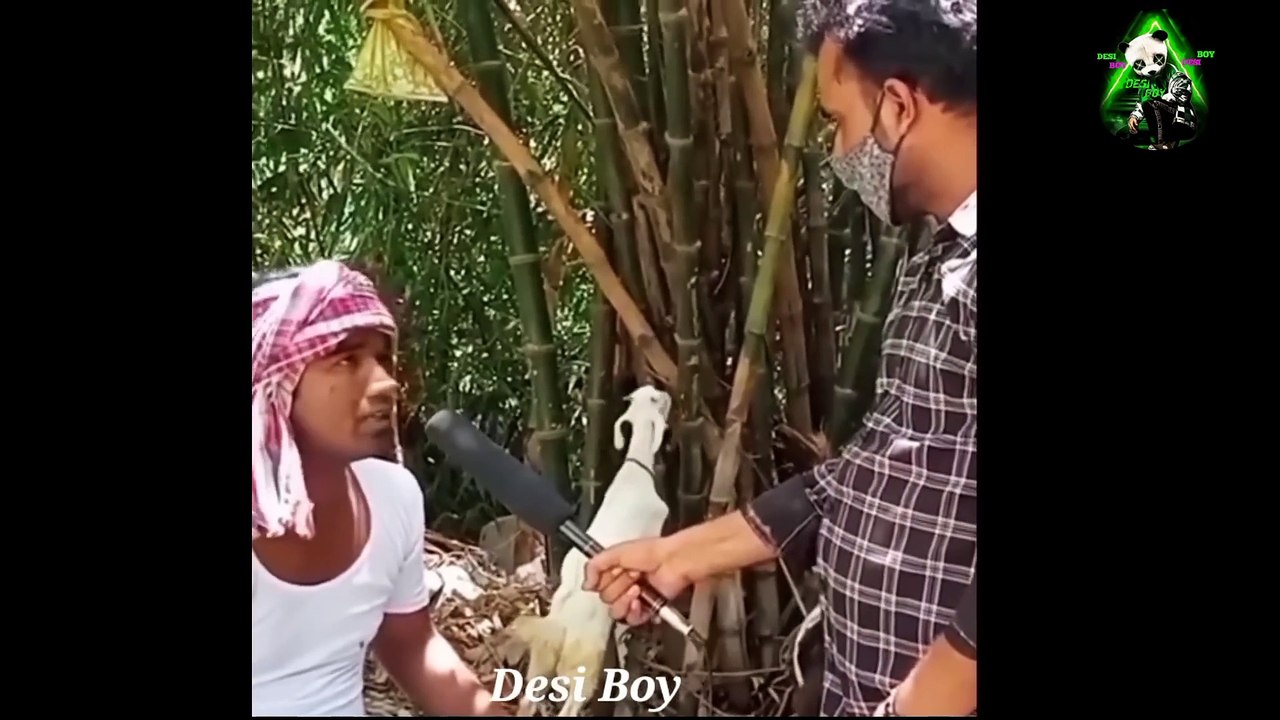 Top 5 Funny Reporting Funny Reporting Video DesiBoy memes_1080p