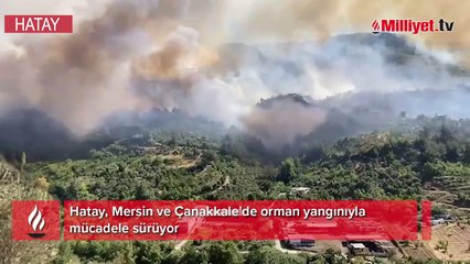 Hatay, Mersin ve Çanakkale'de orman yangınları! Peş peşe flaş açıklamalar...