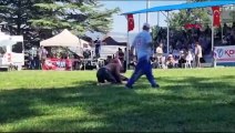 Nedim Gürel est devenu le lutteur en chef de la Domaniç Oil Wrestling Wrestling