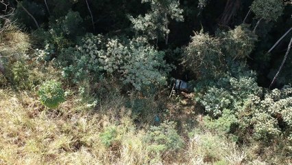 Vídeo: carro com quatro passageiros cai em barranco na BR-381 em Caeté