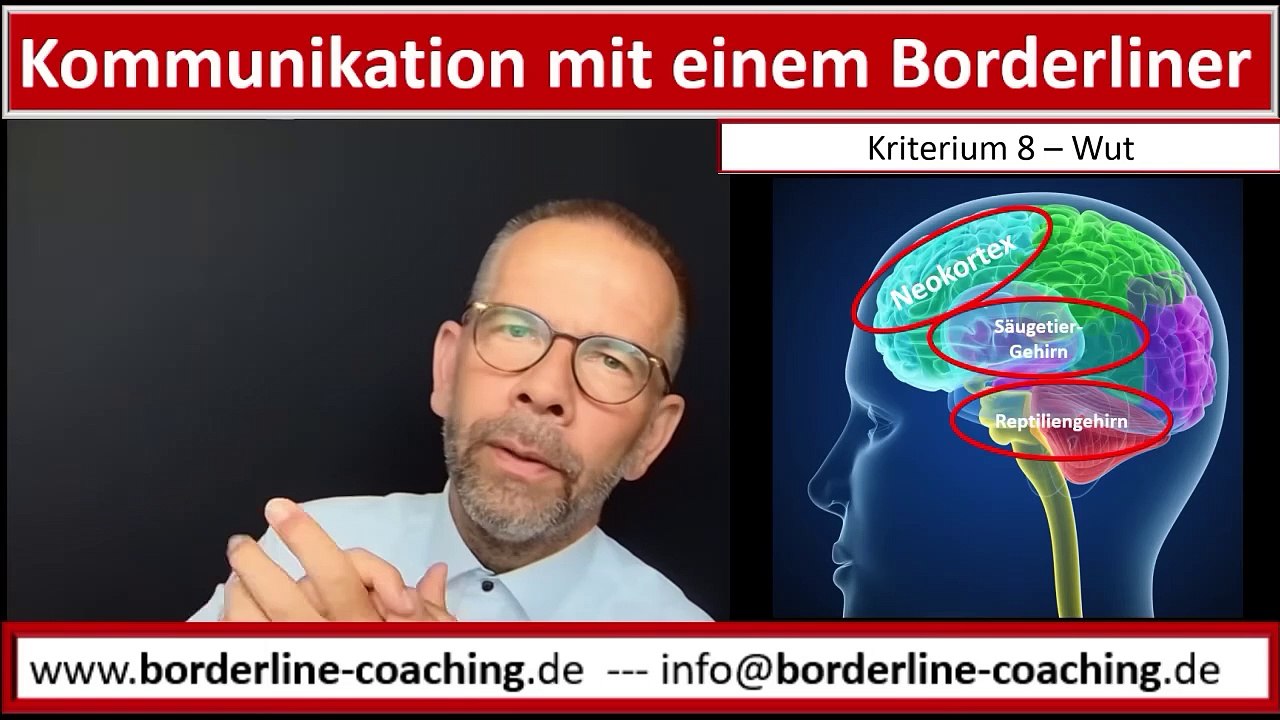 Borderline, Wut und das traumatisierte Gehirn - Kriterium 8