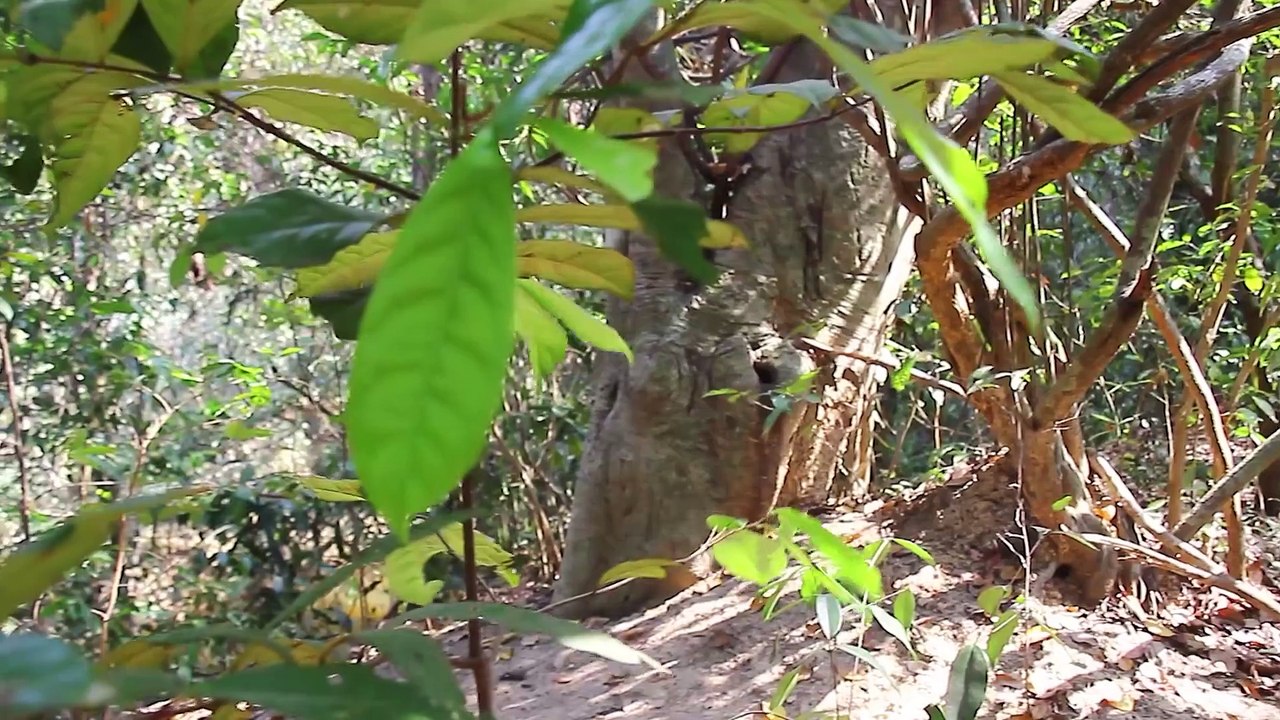 Cooking Spicy Noodle Lobsters Recipe Eating So Delicious - Fried Noodle Seafood Lobster