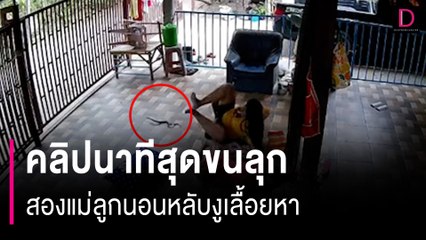คลิปนาทีสุดขนลุกแบบต้องลุ้นตาม สองแม่ลูกนอนหลับงูเลื้อยหา | HOTSHOT เดลินิวส์ 17/07/66