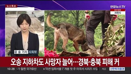 [뉴스특보] 폭우 피해 '12년 만에 최대'…내일까지 250㎜ 더 온다