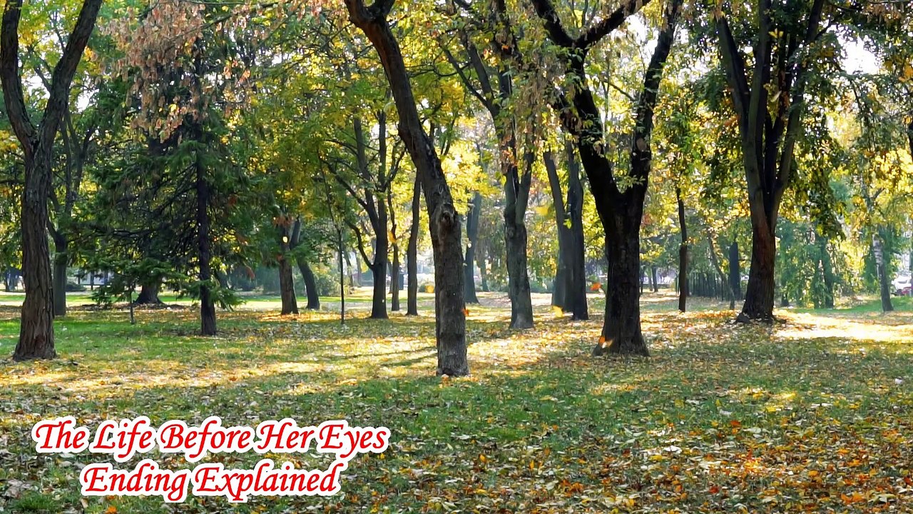 The Life Before Her Eyes Ending Explained | The Life Before Her Eyes Explained|life before her eyes
