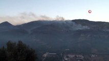 Hatay'daki orman yangına havadan müdahale tekrardan başladı