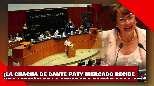 ¡VEAN! ¡la chacha de dante delgado Paty Mercado recibe una lección de la senadora Gaitán de la 4T!-1