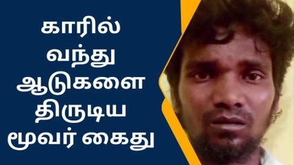 திருவள்ளூர்: காரில் வந்து ஆடு திருடிய மூவர் கைது!