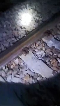 देखें Video: राजस्थान में दौड़ती हुई मालगाड़ी दो हिस्सों में बंटी, बड़ा हादसा टला
