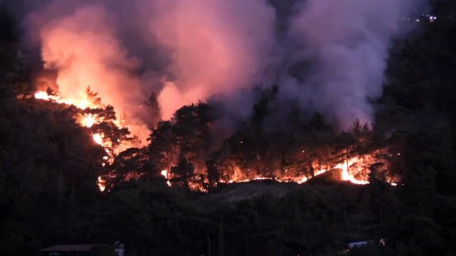 Incendie d'Ayvalık DERNIÈRE MINUTE ! Quelle est la dernière situation concernant l'incendie de forêt d'Ayvalık ? L'incendie d'Ayvalık a-t-il été éteint ?