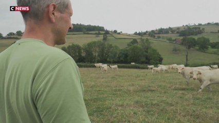 La crainte du Mercosur pour les agriculteurs français