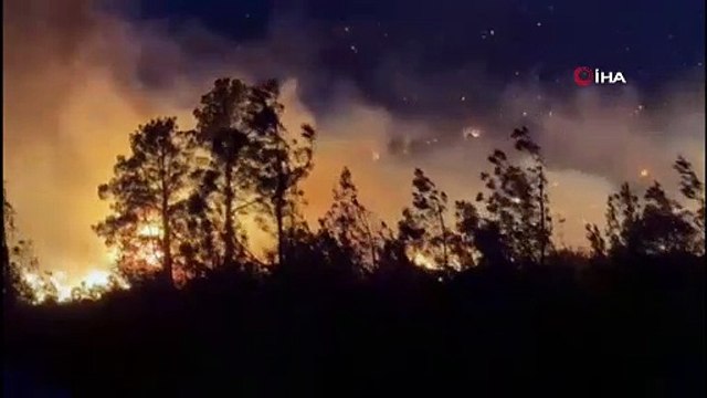 Mersin'de orman yangını devam ediyor, iki köyün tedbir amaçlı tahliyesi planlanıyor
