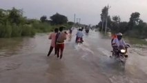 गंगा नदी से आई बाढ़ ने फर्रुखाबाद को दिया डुबा, देखिए सामने है हालात का वीडियो