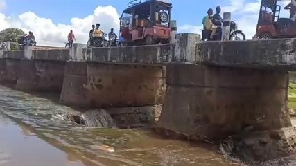 जर्जर बरमसिया पुल की स्थिति हुई खतरनाक, कभी भी हो सकता है बड़ा हादसा, देखें रिपोर्ट